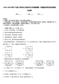 2023-2024学年广东省广州市育才实验中学九年级物理第一学期期末教学质量检测模拟试题含答案