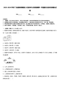 2023-2024学年广东省惠州惠阳区六校联考九年级物理第一学期期末达标检测模拟试题含答案