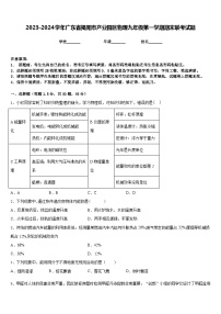 2023-2024学年广东省揭阳市产业园区物理九年级第一学期期末联考试题含答案