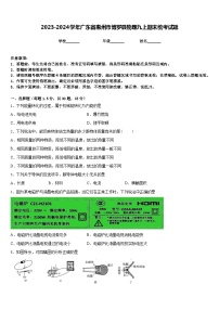 2023-2024学年广东省惠州市博罗县物理九上期末统考试题含答案