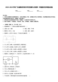 2023-2024学年广东省惠州市英华学校物理九年级第一学期期末统考模拟试题含答案