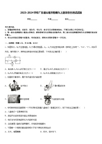 2023-2024学年广东省汕尾市物理九上期末综合测试试题含答案