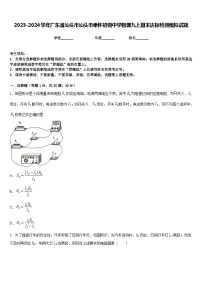 2023-2024学年广东省汕头市汕头市聿怀初级中学物理九上期末达标检测模拟试题含答案