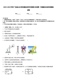 2023-2024学年广东省汕头市科利园实验学校物理九年级第一学期期末达标检测模拟试题含答案