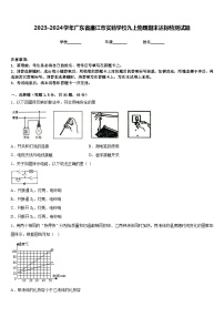 2023-2024学年广东省廉江市实验学校九上物理期末达标检测试题含答案