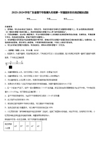 2023-2024学年广东省普宁市物理九年级第一学期期末综合测试模拟试题含答案