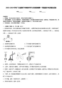 2023-2024学年广东省普宁市燎原中学九年级物理第一学期期末考试模拟试题含答案