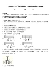 2023-2024学年广东省汕头龙湖区七校联考物理九上期末监测试题含答案