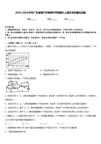 2023-2024学年广东省普宁市燎原中学物理九上期末考试模拟试题含答案