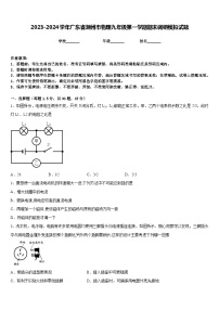 2023-2024学年广东省潮州市物理九年级第一学期期末调研模拟试题含答案