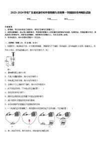 2023-2024学年广东省河源市和平县物理九年级第一学期期末统考模拟试题含答案