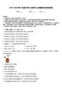 2023-2024学年广东省金平区六校联考九上物理期末质量检测试题含答案