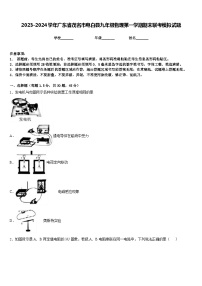 2023-2024学年广东省茂名市电白县九年级物理第一学期期末联考模拟试题含答案