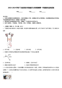 2023-2024学年广东省茂名市茂南区九年级物理第一学期期末监测试题含答案