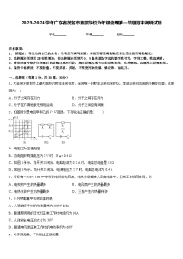 2023-2024学年广东省茂名市直属学校九年级物理第一学期期末调研试题含答案