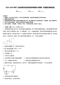 2023-2024学年广东省深圳宝安区四校联考物理九年级第一学期期末调研试题含答案