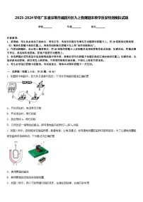 2023-2024学年广东省深圳市福田片区九上物理期末教学质量检测模拟试题含答案