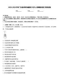 2023-2024学年广东省深圳市福田区八校九上物理期末复习检测试题含答案