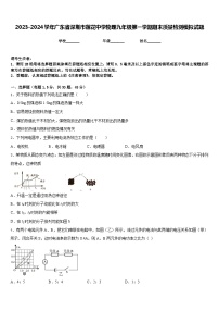 2023-2024学年广东省深圳市莲花中学物理九年级第一学期期末质量检测模拟试题含答案