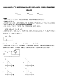 2023-2024学年广东省深圳市龙岗区龙岭中学物理九年级第一学期期末质量跟踪监视模拟试题含答案