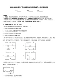 2023-2024学年广东省深圳市龙华新区物理九上期末检测试题含答案