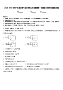 2023-2024学年广东省深圳市龙文教育九年级物理第一学期期末质量检测模拟试题含答案