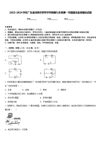 2023-2024学年广东省深圳市罗芳中学物理九年级第一学期期末监测模拟试题含答案