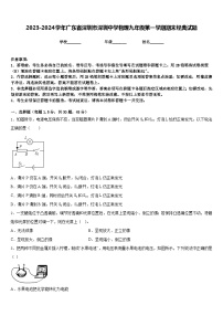 2023-2024学年广东省深圳市深圳中学物理九年级第一学期期末经典试题含答案