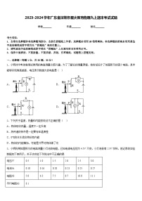 2023-2024学年广东省深圳市星火教育物理九上期末考试试题含答案