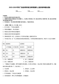 2023-2024学年广东省深圳市助力教育物理九上期末联考模拟试题含答案