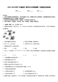 2023-2024学年广东省阳东广雅学校九年级物理第一学期期末监测试题含答案