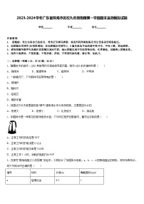 2023-2024学年广东省珠海市名校九年级物理第一学期期末监测模拟试题含答案