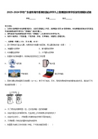 2023-2024学年广东省珠海市香洲区前山中学九上物理期末教学质量检测模拟试题含答案