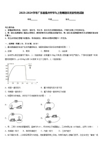 2023-2024学年广东省重点中学九上物理期末质量检测试题含答案