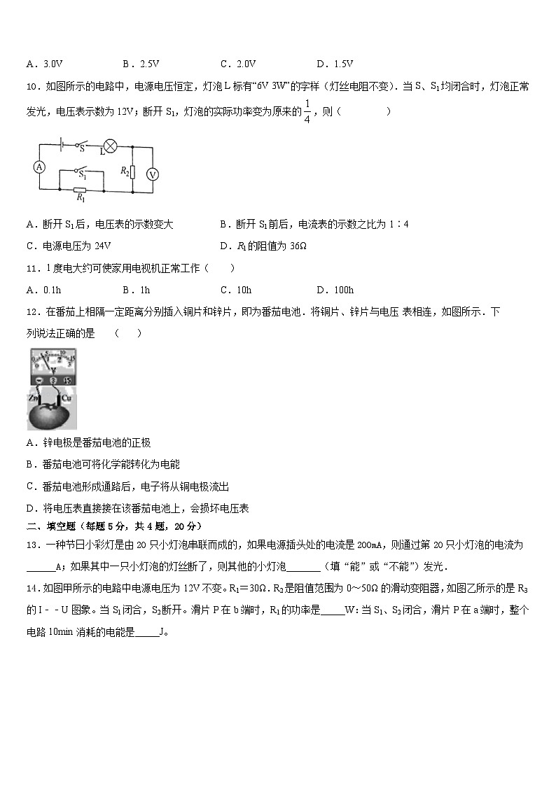 2023-2024学年广东省湛江雷州市九年级物理第一学期期末综合测试模拟试题含答案第3页