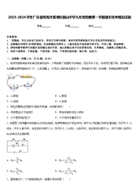 2023-2024学年广东省珠海市香洲区前山中学九年级物理第一学期期末统考模拟试题含答案