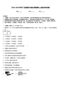 2023-2024学年广东省肇庆市德庆县物理九上期末统考试题含答案