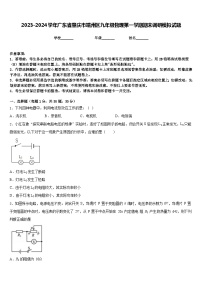 2023-2024学年广东省肇庆市端州区九年级物理第一学期期末调研模拟试题含答案