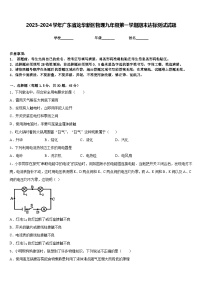 2023-2024学年广东省龙华新区物理九年级第一学期期末达标测试试题含答案