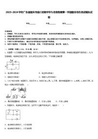 2023-2024学年广东省韶关市曲江初级中学九年级物理第一学期期末综合测试模拟试题含答案