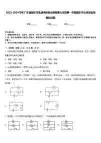 2023-2024学年广东省韶关市乳源瑶族自治县物理九年级第一学期期末学业质量监测模拟试题含答案