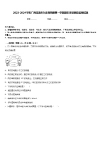 2023-2024学年广西北流市九年级物理第一学期期末质量跟踪监视试题含答案