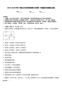 2023-2024学年广西崇左市扶绥县物理九年级第一学期期末经典模拟试题含答案