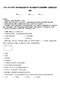 2023-2024学年广西壮族自治区南宁市广西大附属中学九年级物理第一学期期末监测试题含答案