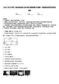 2023-2024学年广西壮族自治区玉林市陆川县物理九年级第一学期期末教学质量检测试题含答案