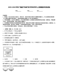 2023-2024学年广西南宁市邕宁区中学和中学九上物理期末检测试题含答案