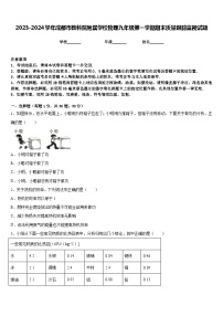 2023-2024学年成都市教科院附属学校物理九年级第一学期期末质量跟踪监视试题含答案