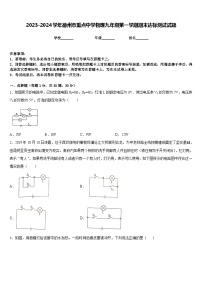 2023-2024学年德州市重点中学物理九年级第一学期期末达标测试试题含答案