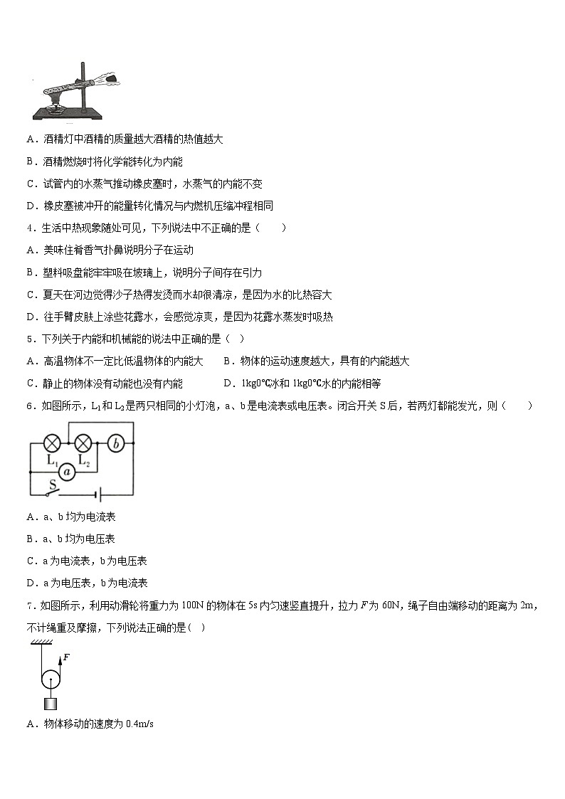 2023-2024学年德州市重点中学物理九年级第一学期期末达标测试试题含答案02