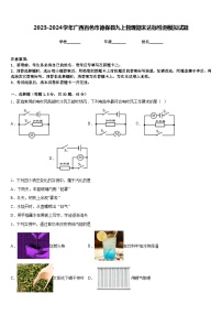 2023-2024学年广西百色市德保县九上物理期末达标检测模拟试题含答案